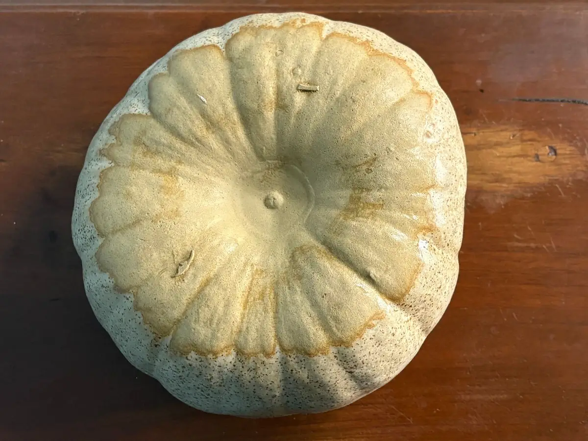 Ceramic Pumpkin Jar with Lid