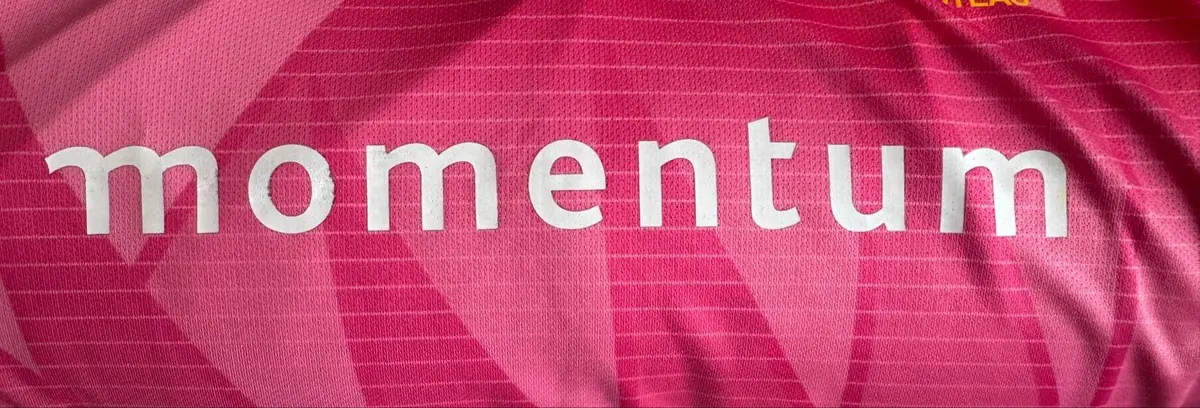 New Balance Proteas Pink ODI Replica Jersey Mens L