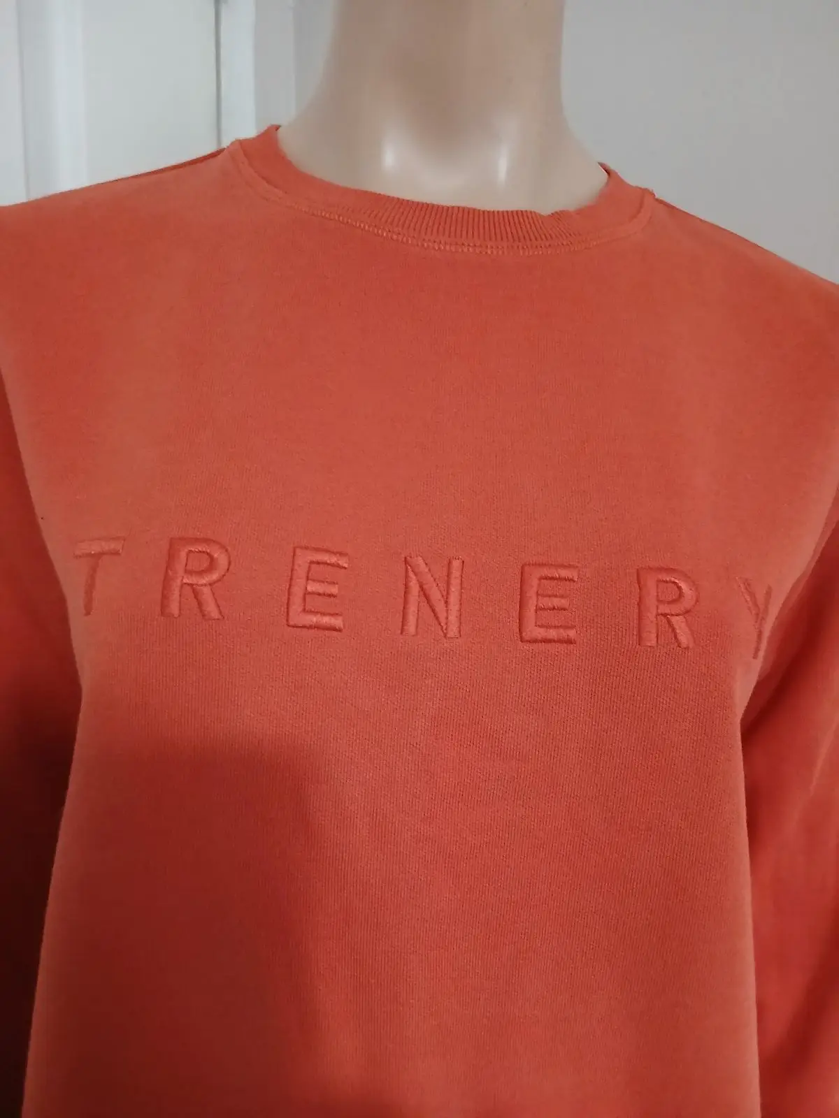 Trenery Burnt Orange Sweatshirt