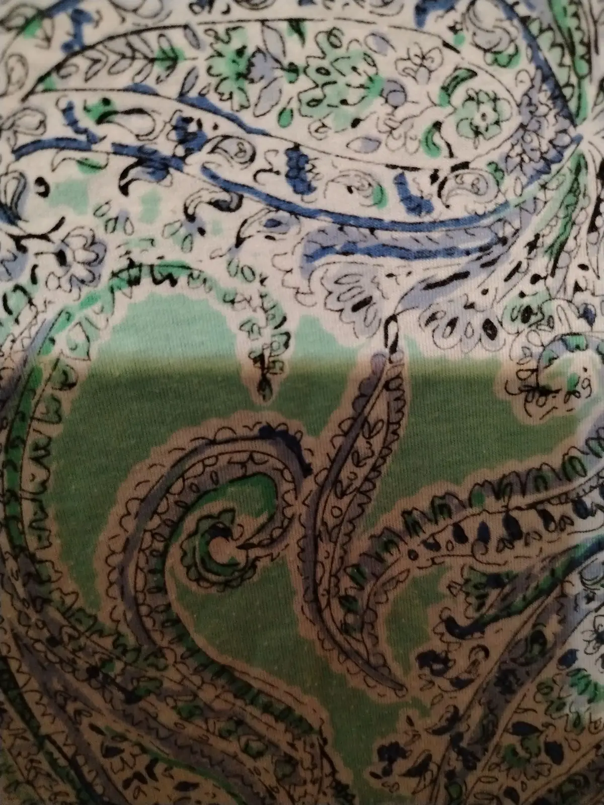 Miladys Mint Green Paisley Print Top