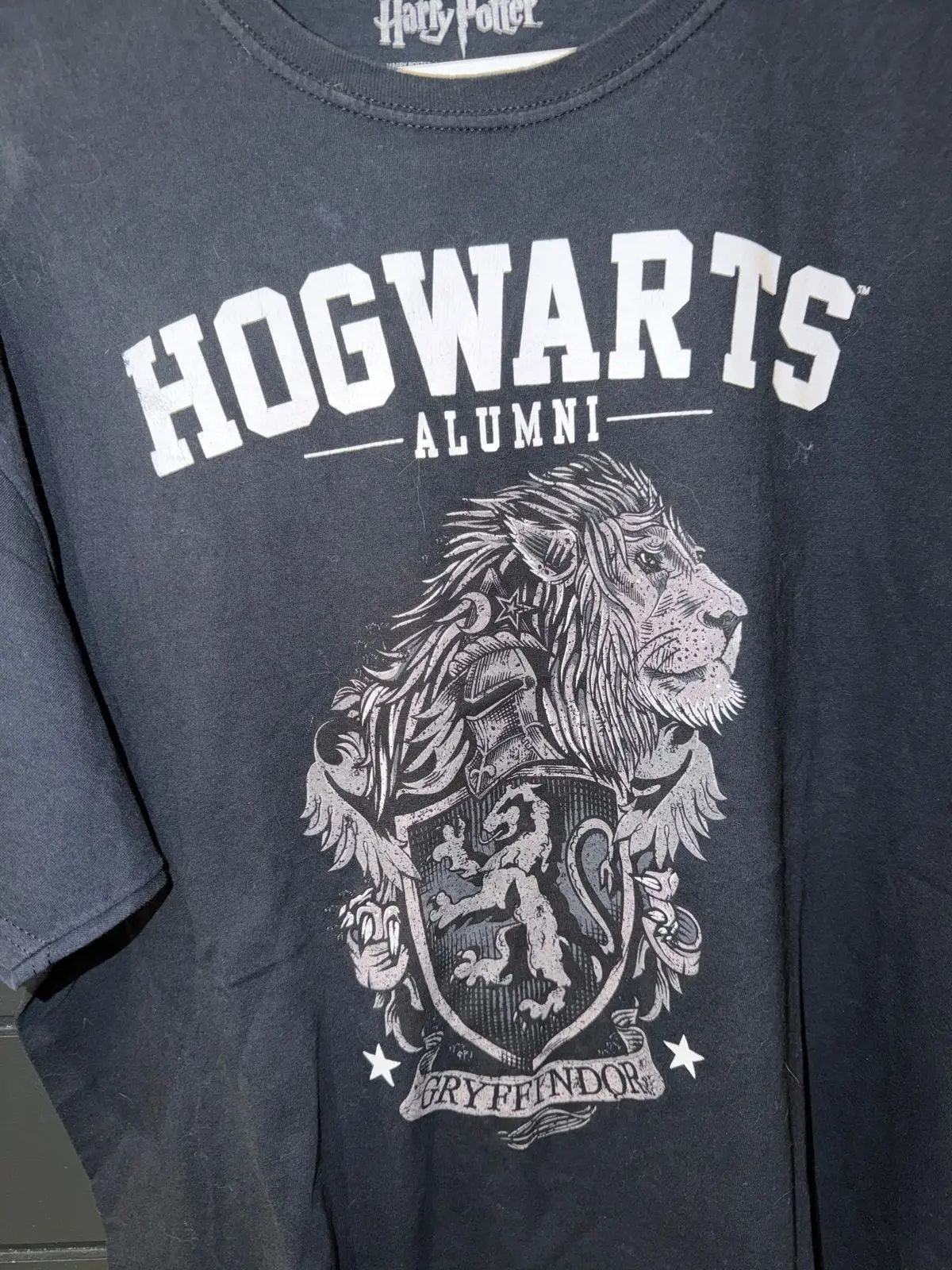 Harry Potter Hogwarts Alumni Gryffindor T-Shirt