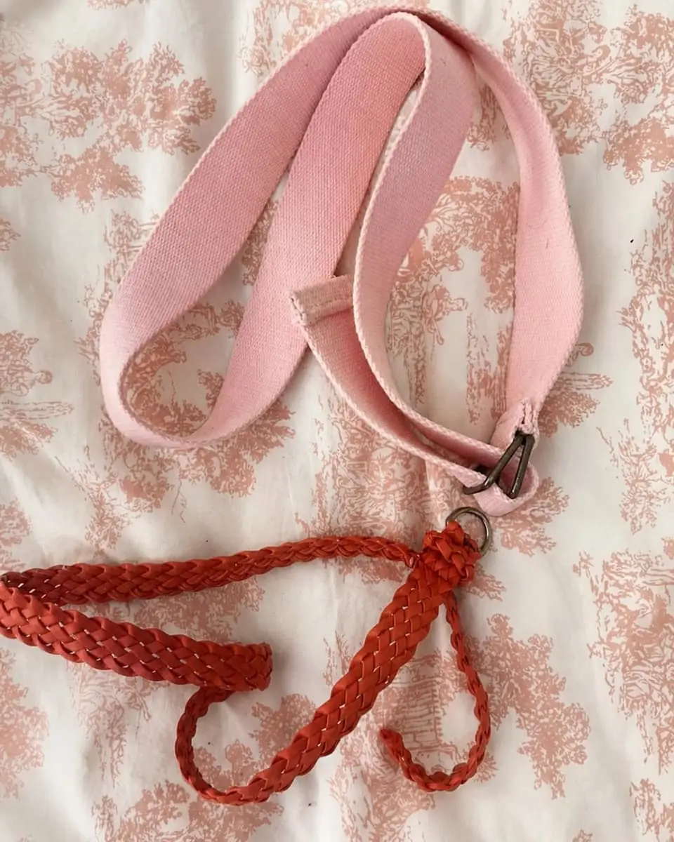 Set of 2 Belts: Y2K Baby Pink Canvas D-Ring Belt + Boho Terracotta Braided Waist Tie (Adjustable)
