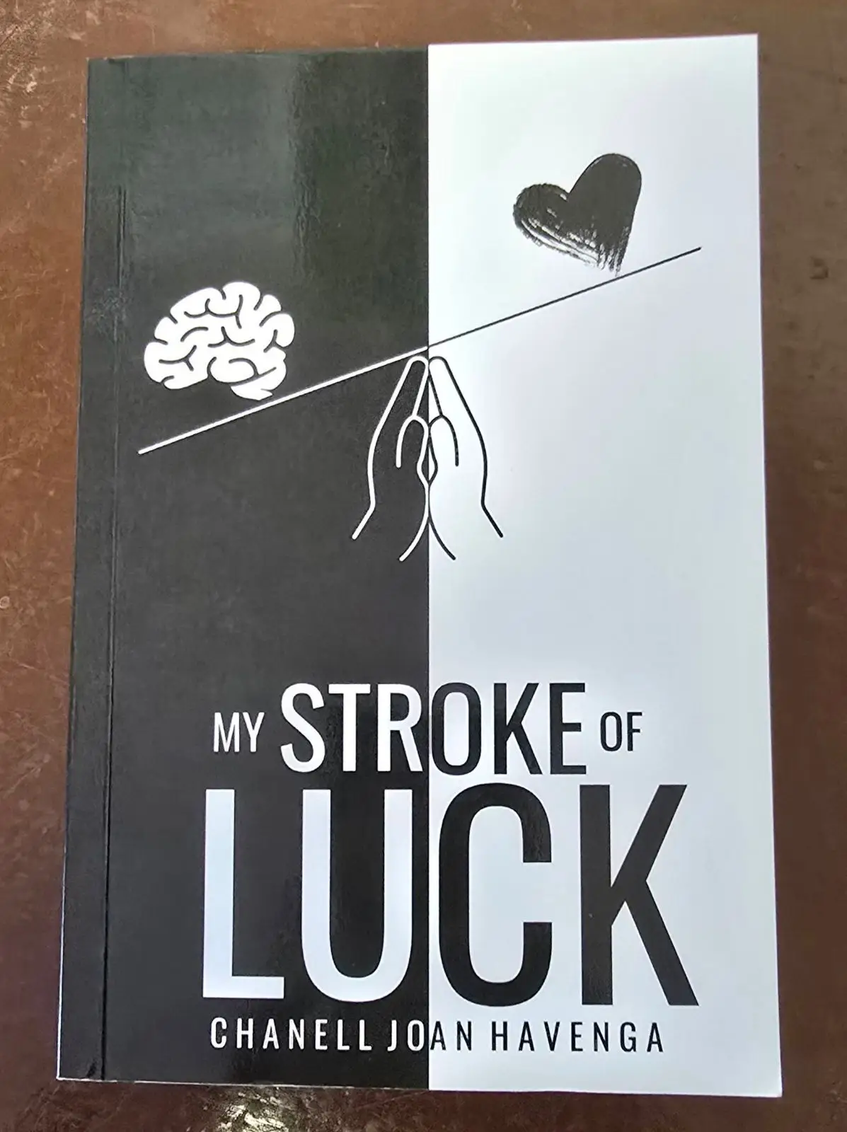 My Stroke of Luck by Chanell Joan Havenga Book